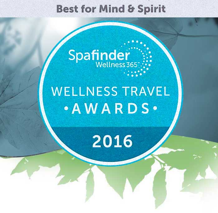 Wellness Travel Award